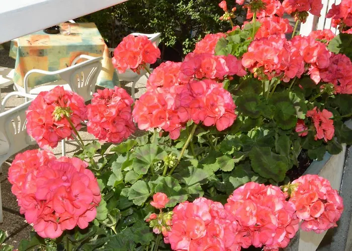 Mantovani Mariu Szálloda Rimini