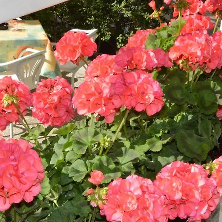 Mantovani Mariu Hotel Rimini