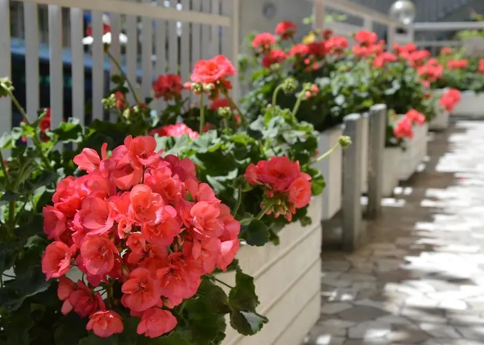 Mantovani Mariu Hotell