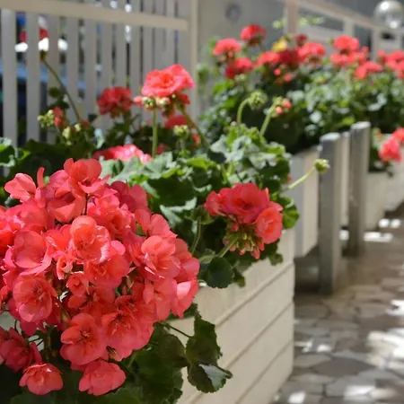 Mantovani Mariù Hotel